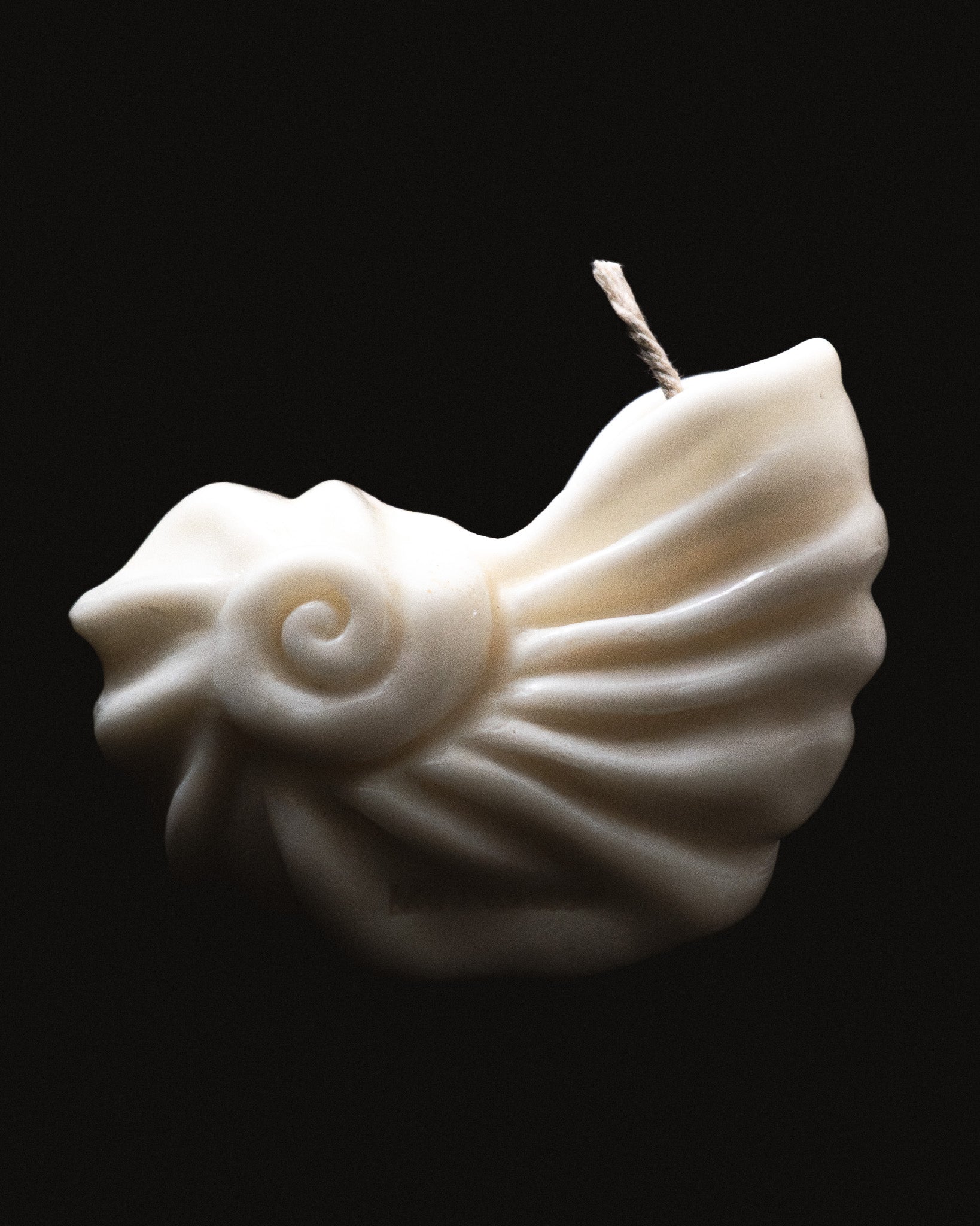 🎁 MM Nautilus Candle (100% off)